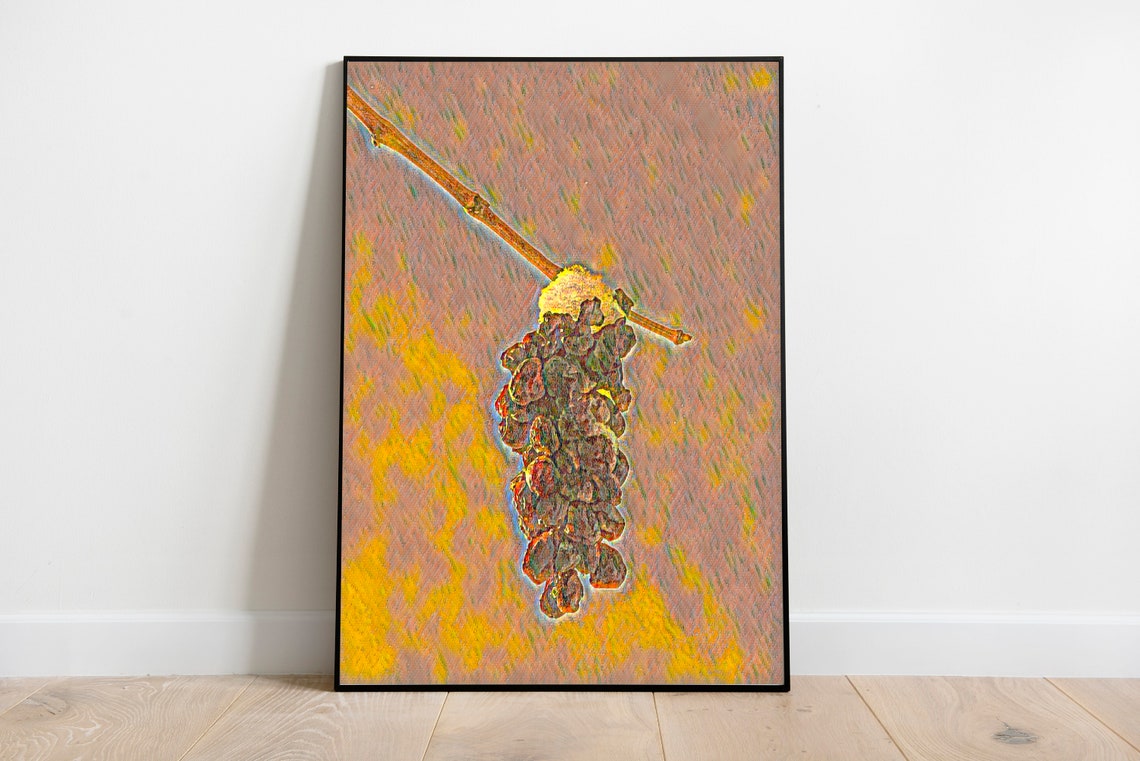 Stylized Grape Cluster Vine Abstract Digital Art Colorful Wall Print