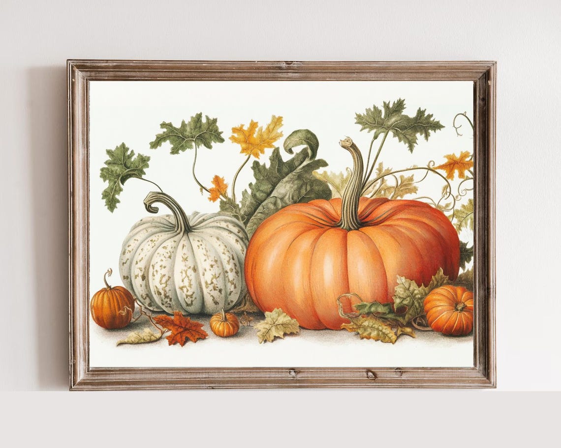 Vintage Pumpkin Botanical Illustration Autumn Harvest Art Poster
