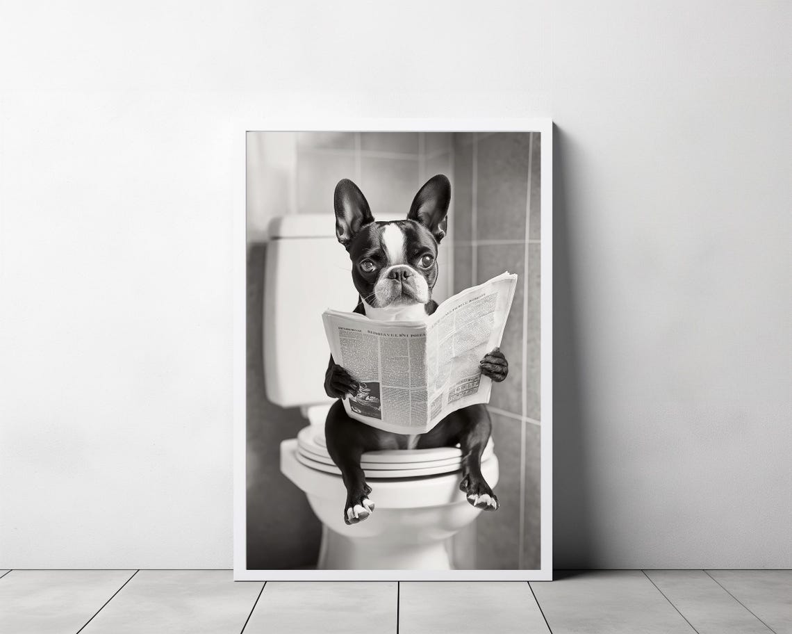 Boston Terrier Sitting on a Toilet Reading the Newspaper Poster - Image 3