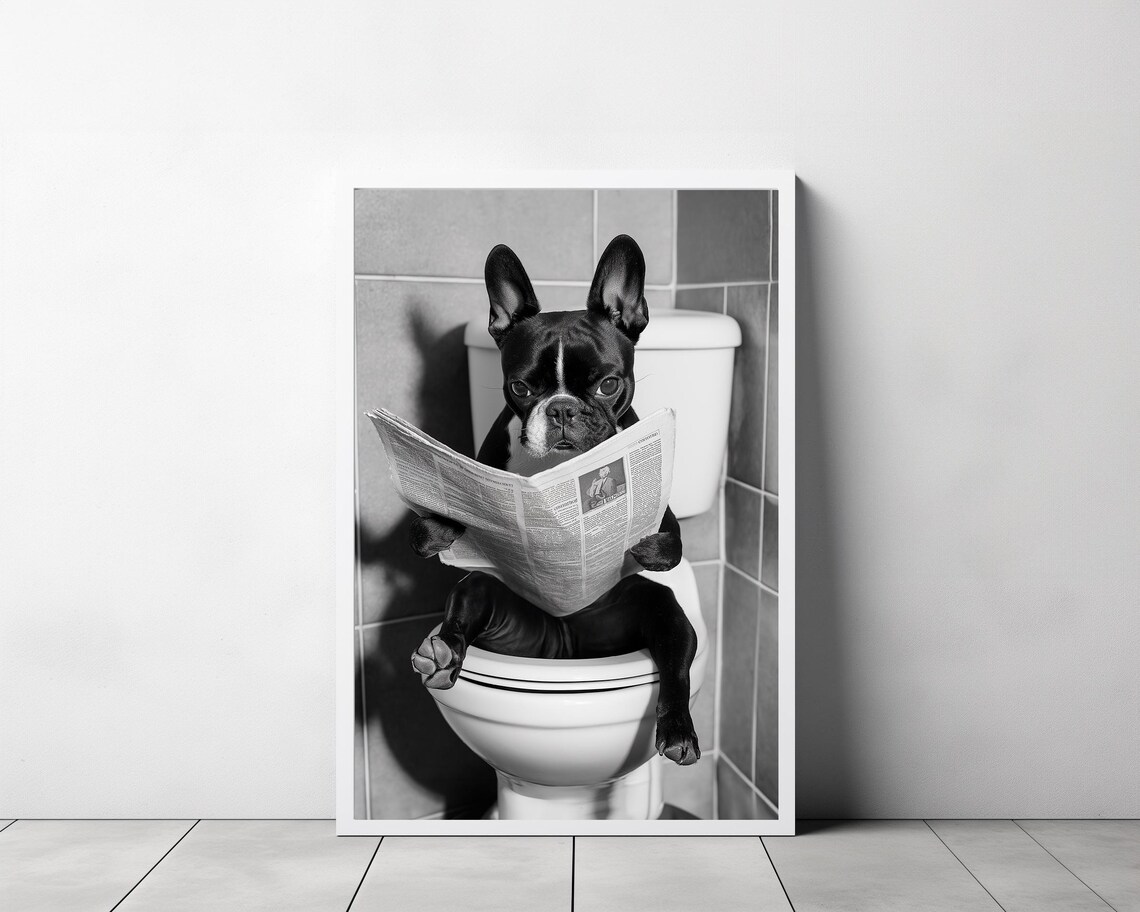 French Bulldog On Toilet Reading Newspaper Funny Photo Poster - Image 3