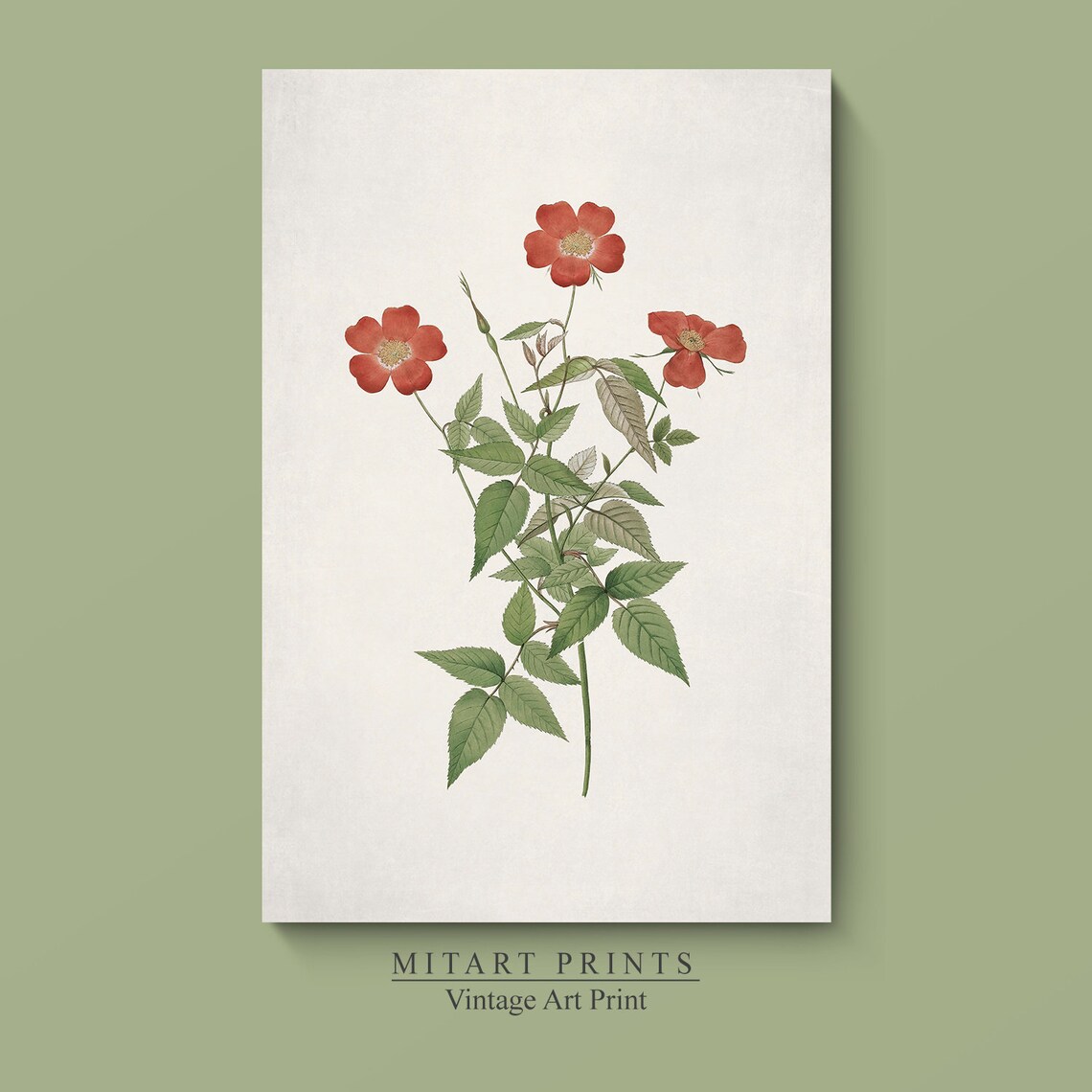 Antique Botanical Vintage Flower Art Print - Image 3