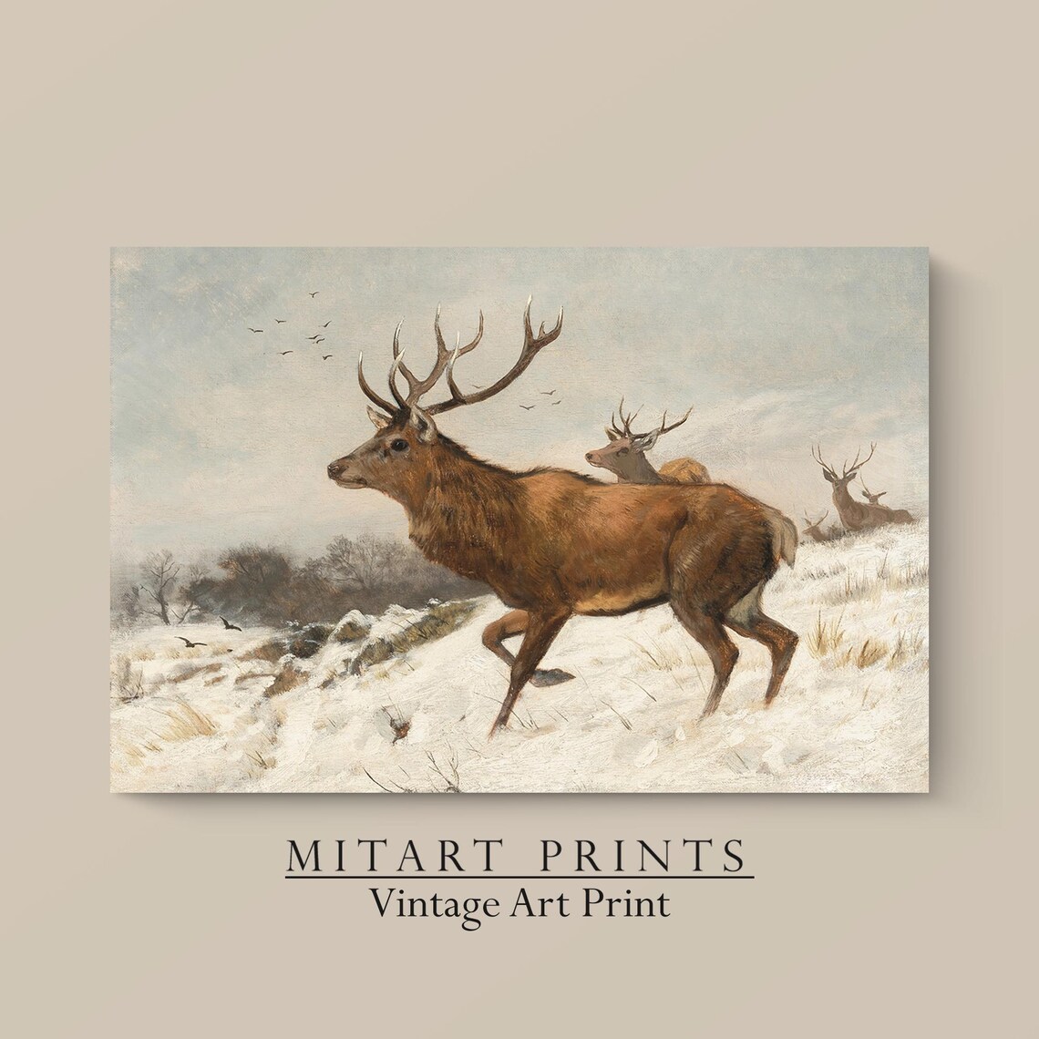 Vintage Red Deer Stags in Snowy Field Winter Wildlife Art Print - Image 4