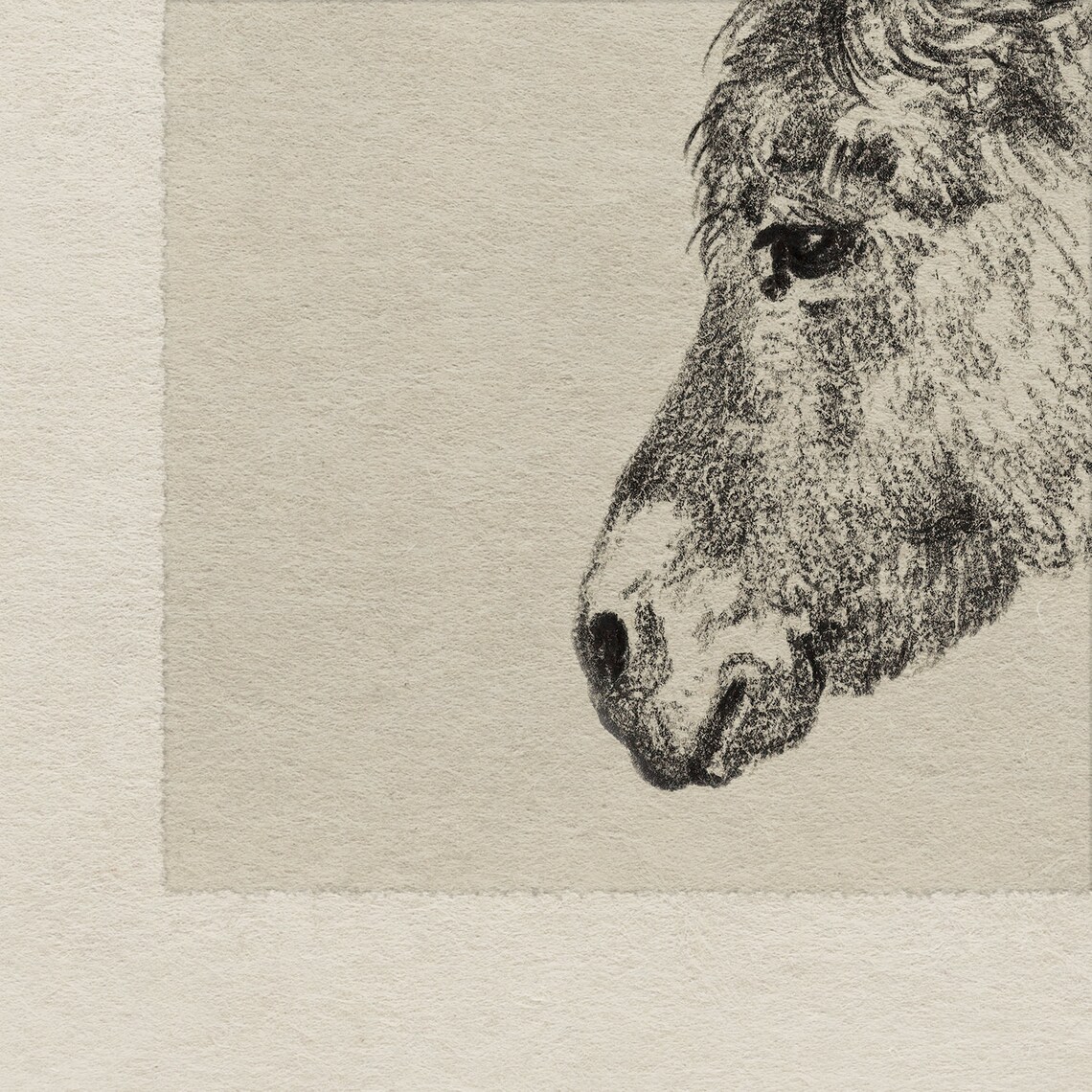 Vintage Donkey Print, Rustic Nursery Art Print - Image 4