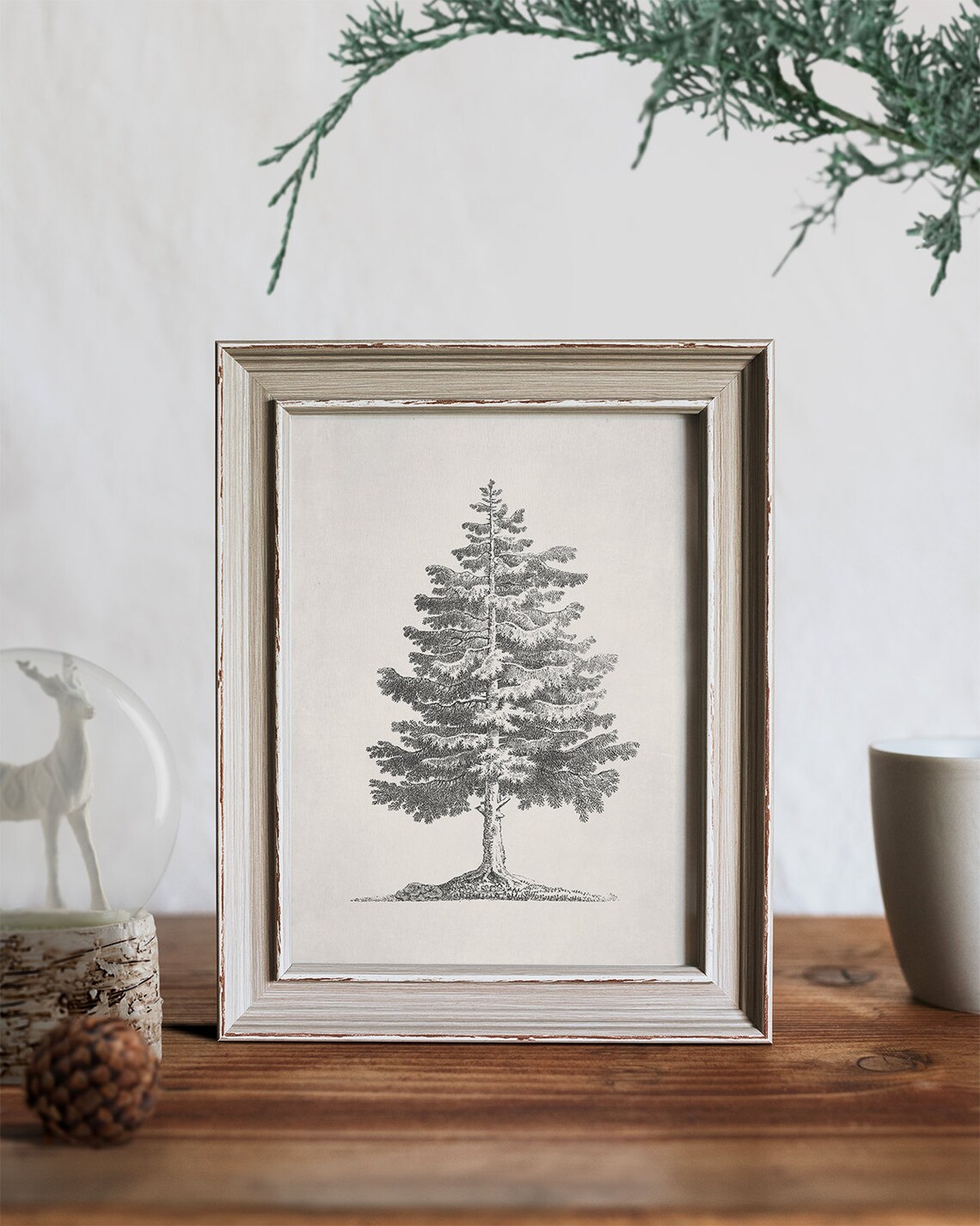 Vintage Pine Tree Christmas Tree Sketch Art Print - Image 4
