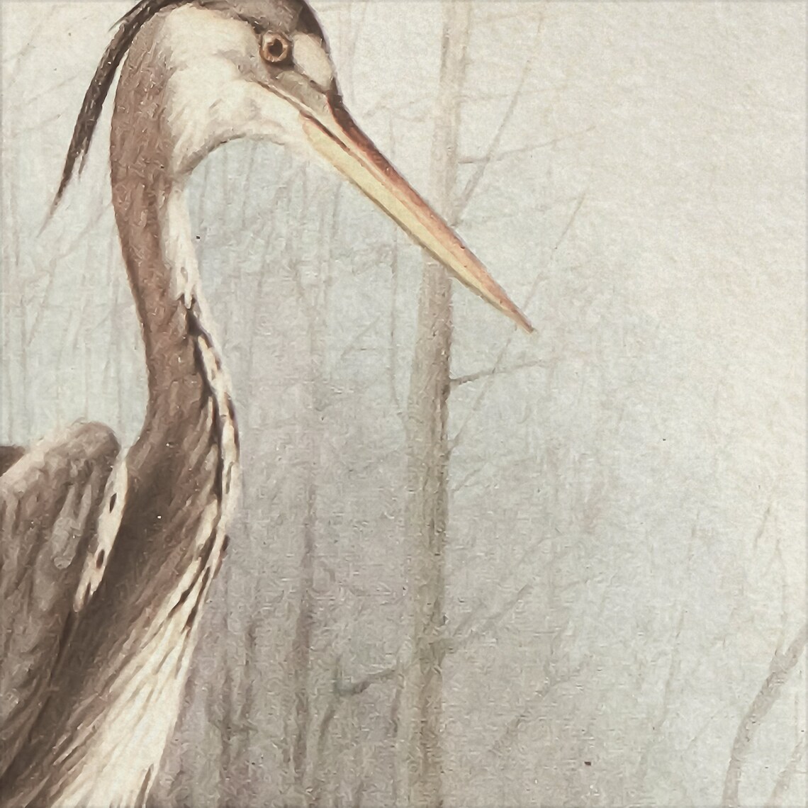Vintage Great Blue Heron at Nest with Eggs Bird Illustration Poster - Image 4
