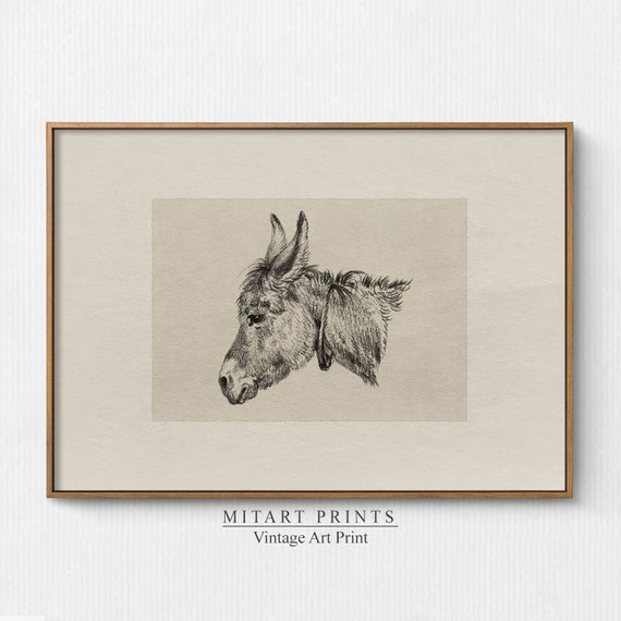 Vintage Donkey Print, Rustic Nursery Art Print