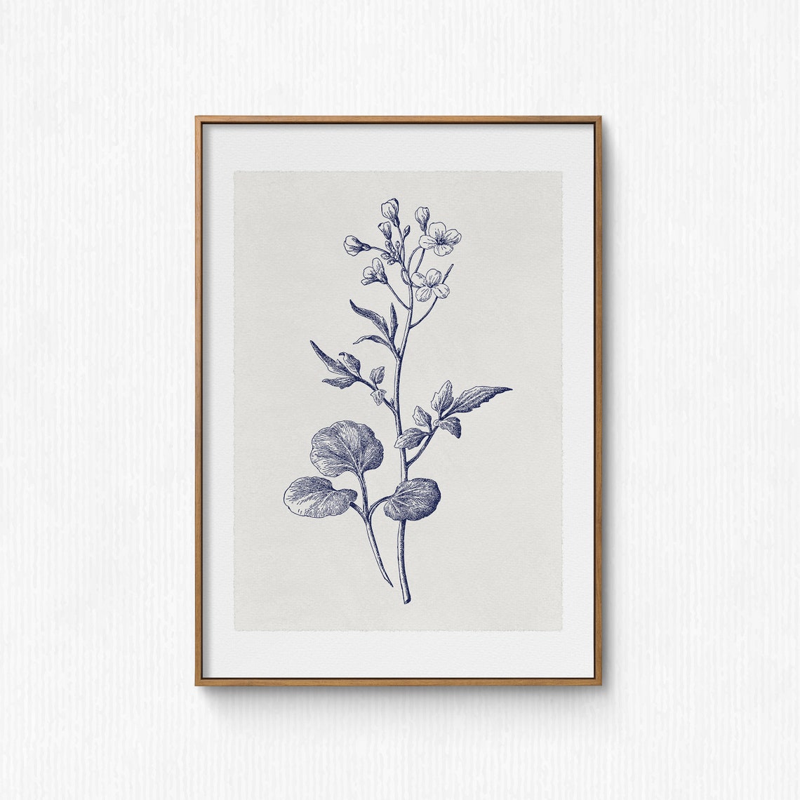 Vintage Botanical Line Drawing Navy Flowering Plant Study Poster