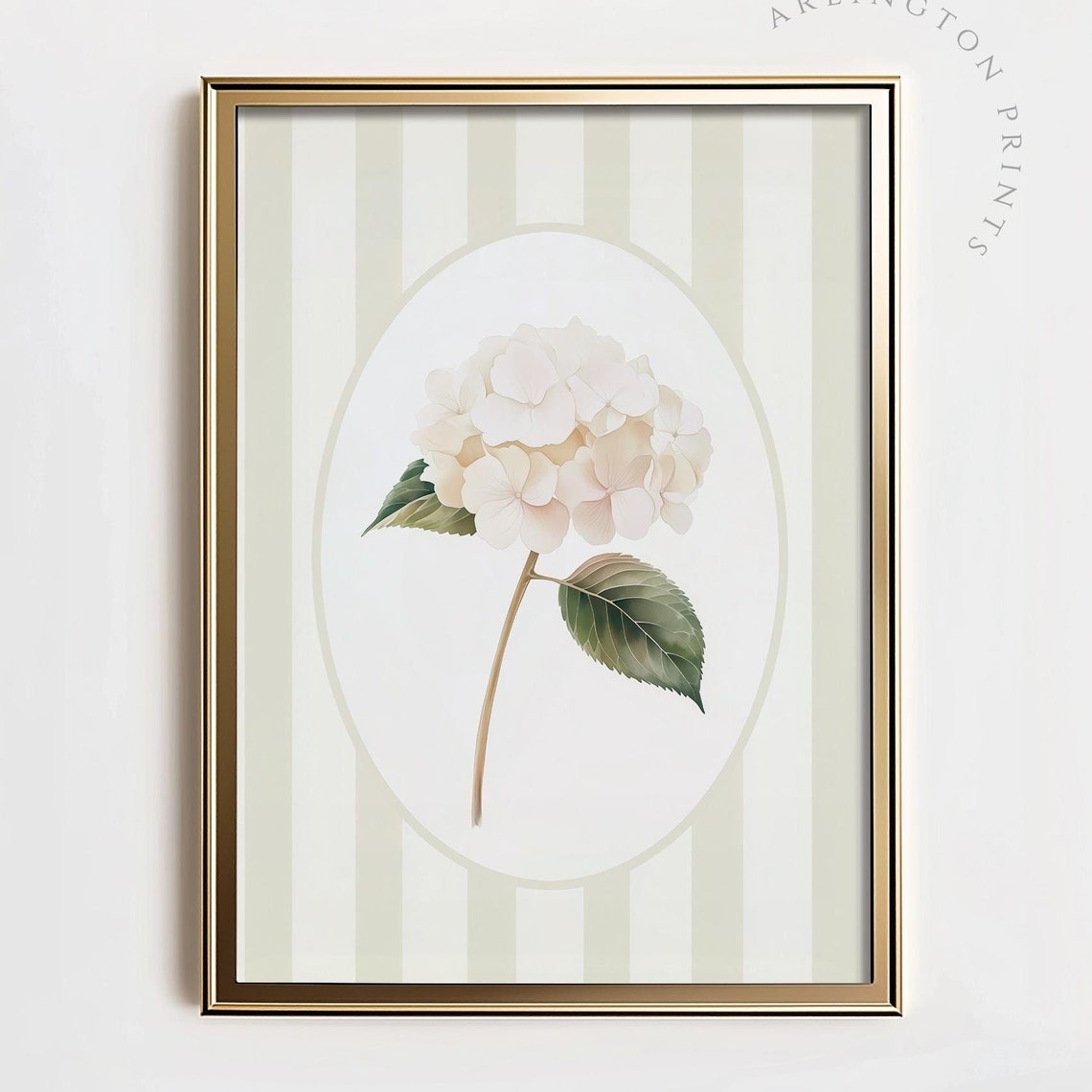 White Hydrangea Bloom on Cream Stripes Botanical Nursery Decor Poster