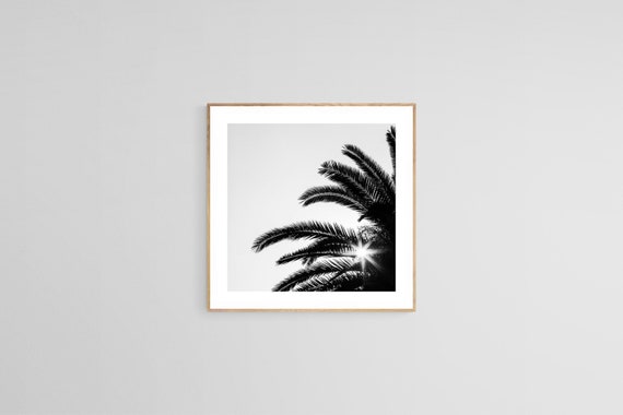 Palm Tree Art Print, Tropical Botanical Photograph
