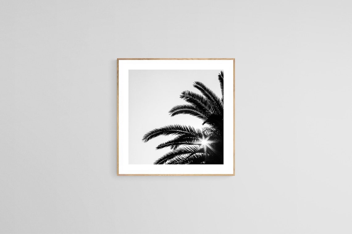 Palm Tree Art Print, Tropical Botanical Photograph