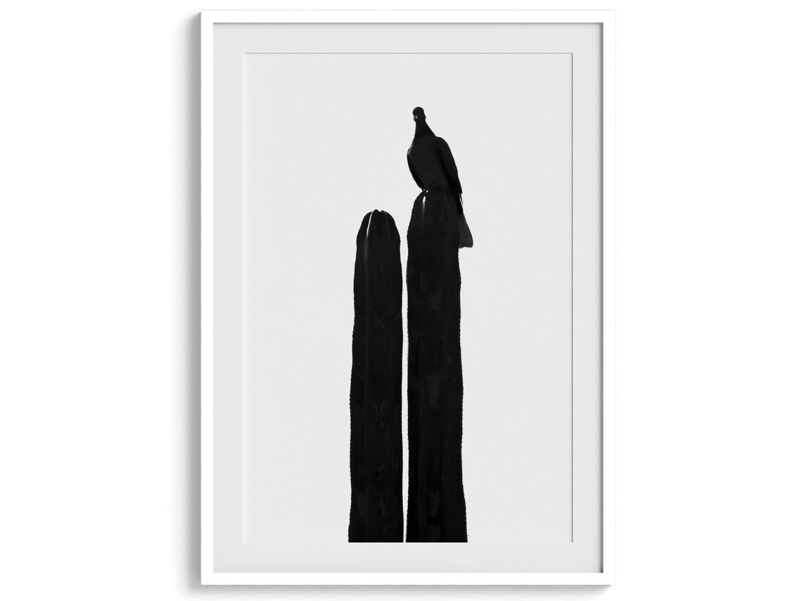 Bird Silhouette On Cactus Black And White Minimalist Desert Print - Image 4