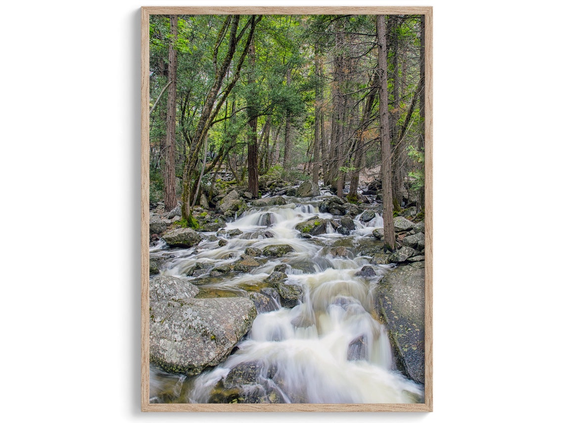 Forest Waterfall Stream Mossy Rocks Evergreen Trees Nature Poster - Image 2