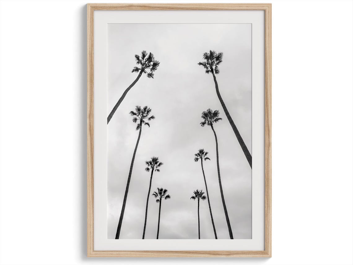 California Palm Trees From Below Black And White Minimalist Poster