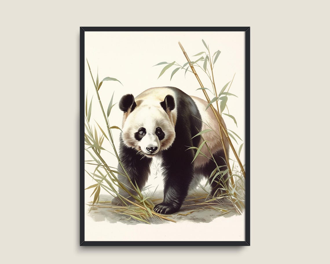 Giant Panda Bear Walking Among Bamboo Vintage Wildlife Art Poster - Image 3