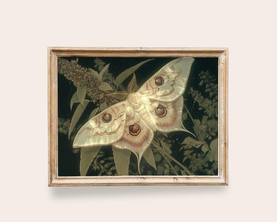 White Moth Vintage Butterfly Print Light Academia Decor Art Antique Moth Insect Art Moody Dark Prints