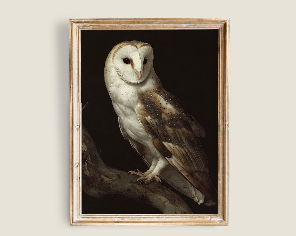 Barn Owl on Branch Dark Background Vintage Bird Portrait Poster