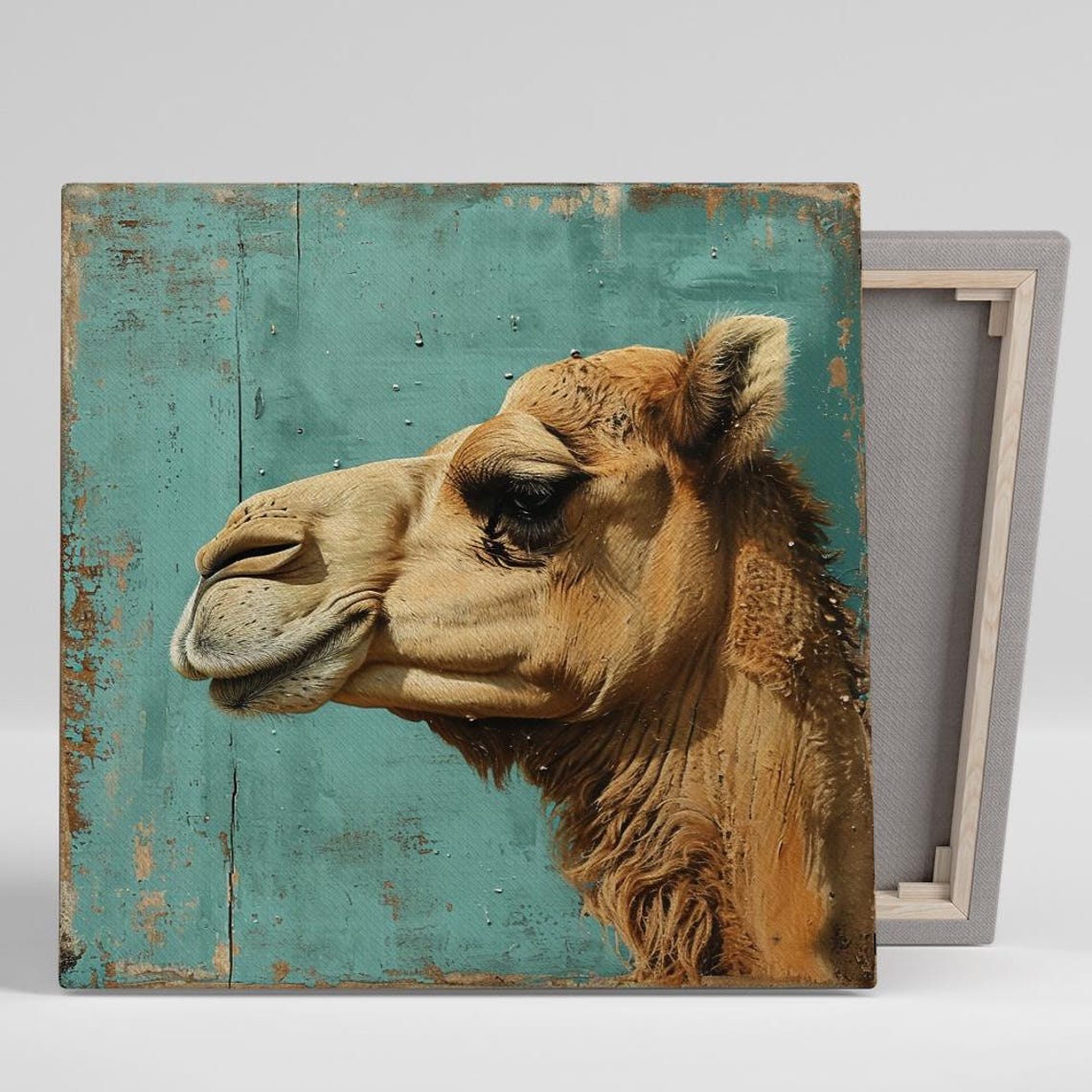 Camel Profile Portrait Rustic Turquoise Distressed Wood Animal Poster