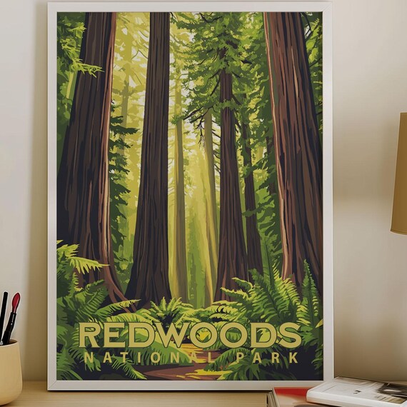 Redwoods National Park Giant Trees Fern Forest Vintage Travel Poster