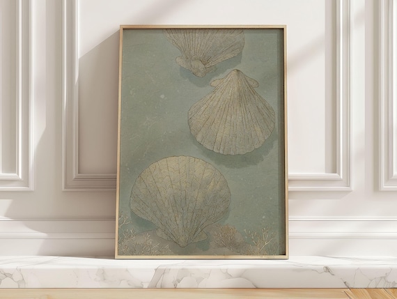 Light Blue Scallop Seashells Vintage Coastal Shell Artwork Poster