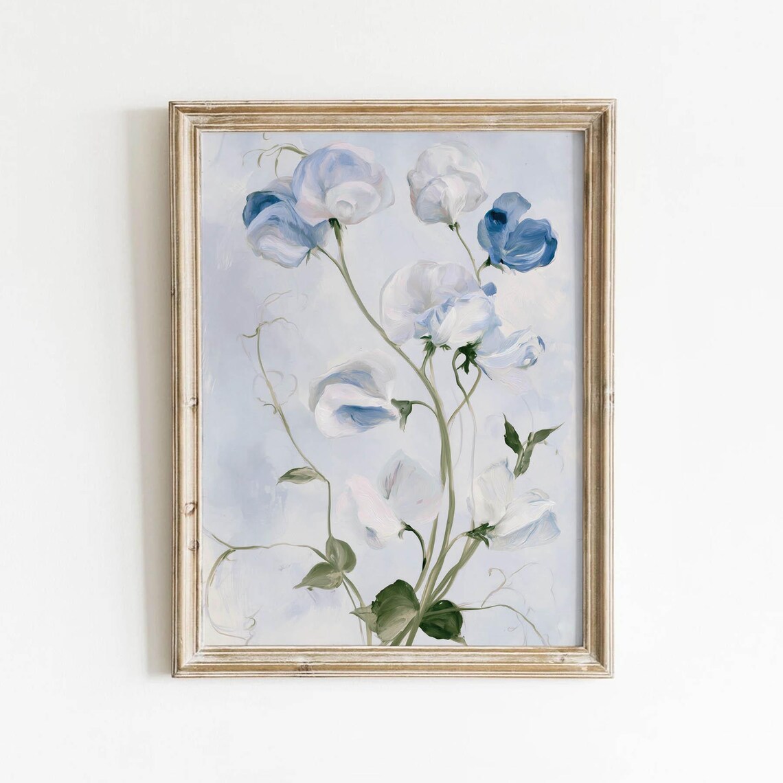 Blue Sweet Pea Flowers Delicate Vintage Botanical Painting Poster
