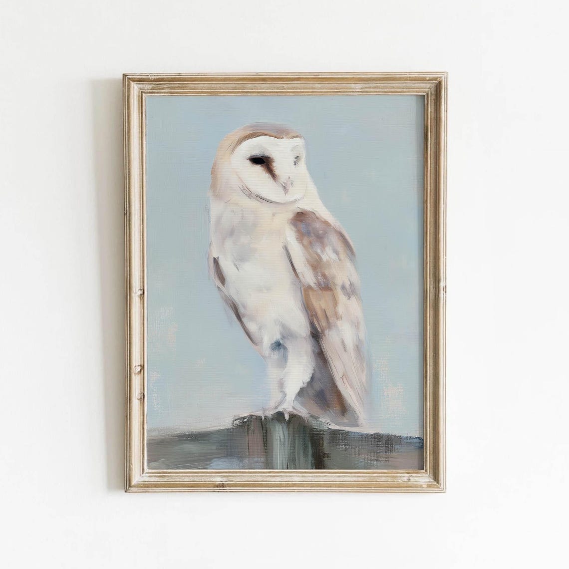 Barn Owl Perched On Fence Post Muted Rustic Wildlife Art Poster