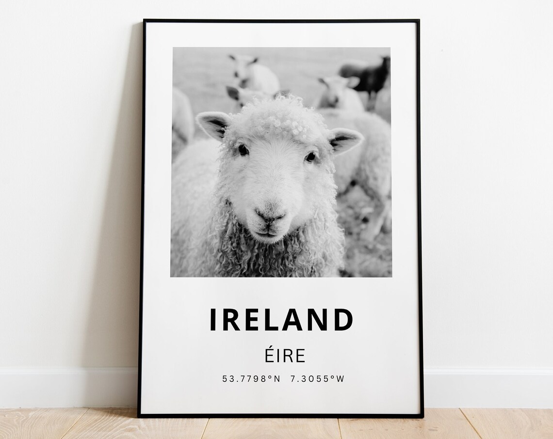 Ireland Sheep Photography Art Print, Dublin Travel Poster