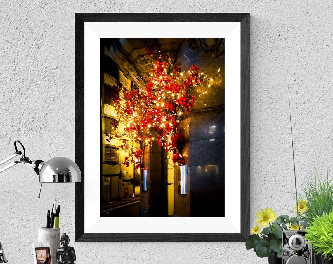 Red Blooming Flowers Night Street Fairy Lights Photography Poster