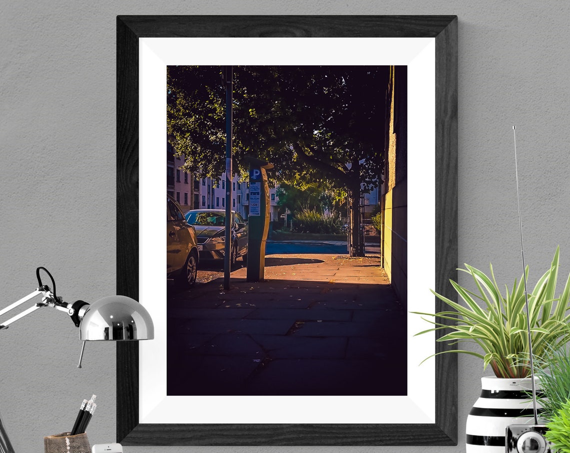 Sunlit City Street Parking Sign Dappled Light Street Photo Poster