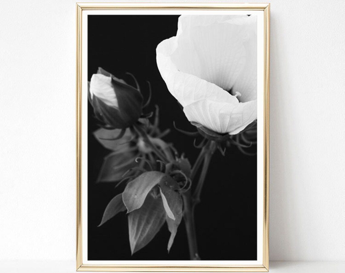 Black and White Flower Art Print, Floral Decor - Image 2