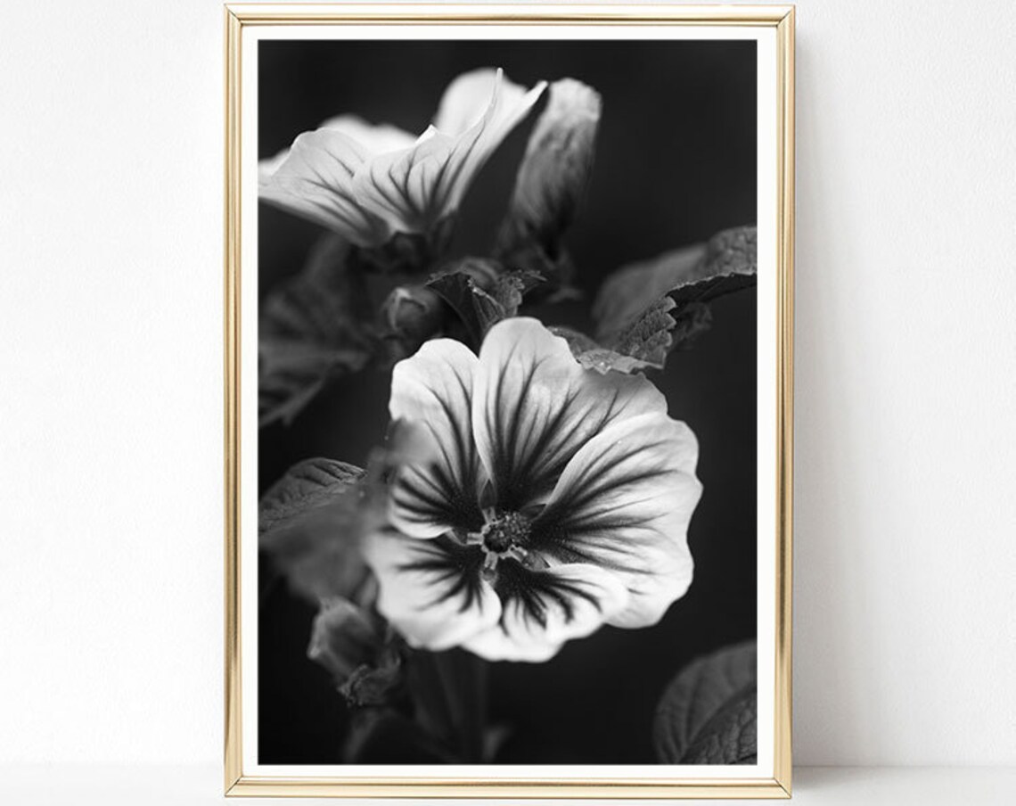 Black And White Hibiscus Macro Photography Floral Fine Art Poster - Image 3