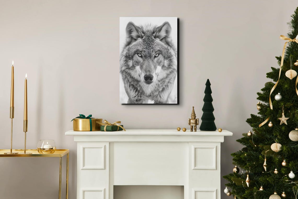 Majestic Wolf Staring Camera Black and White Nature Art Poster - Image 6