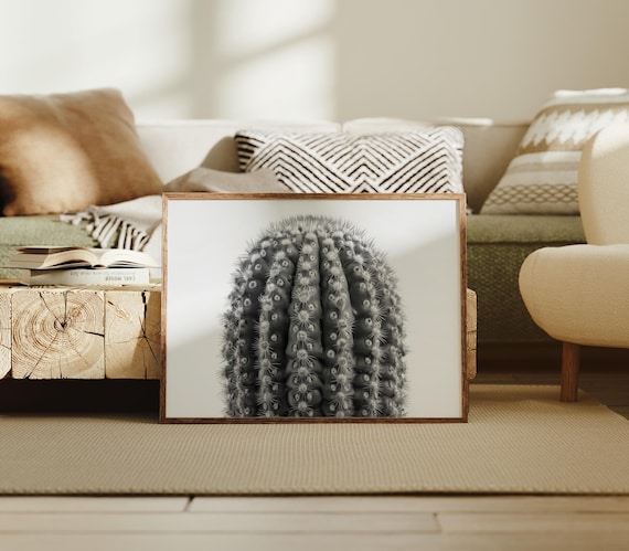 Black And White Barrel Cactus Minimalist Botanical Photo Poster