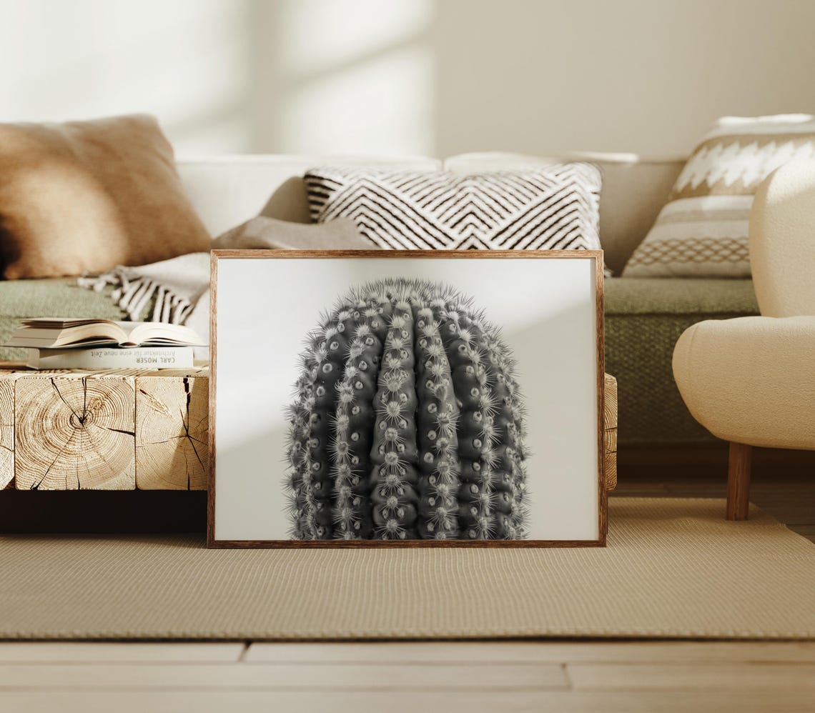 Black And White Barrel Cactus Minimalist Botanical Photo Poster