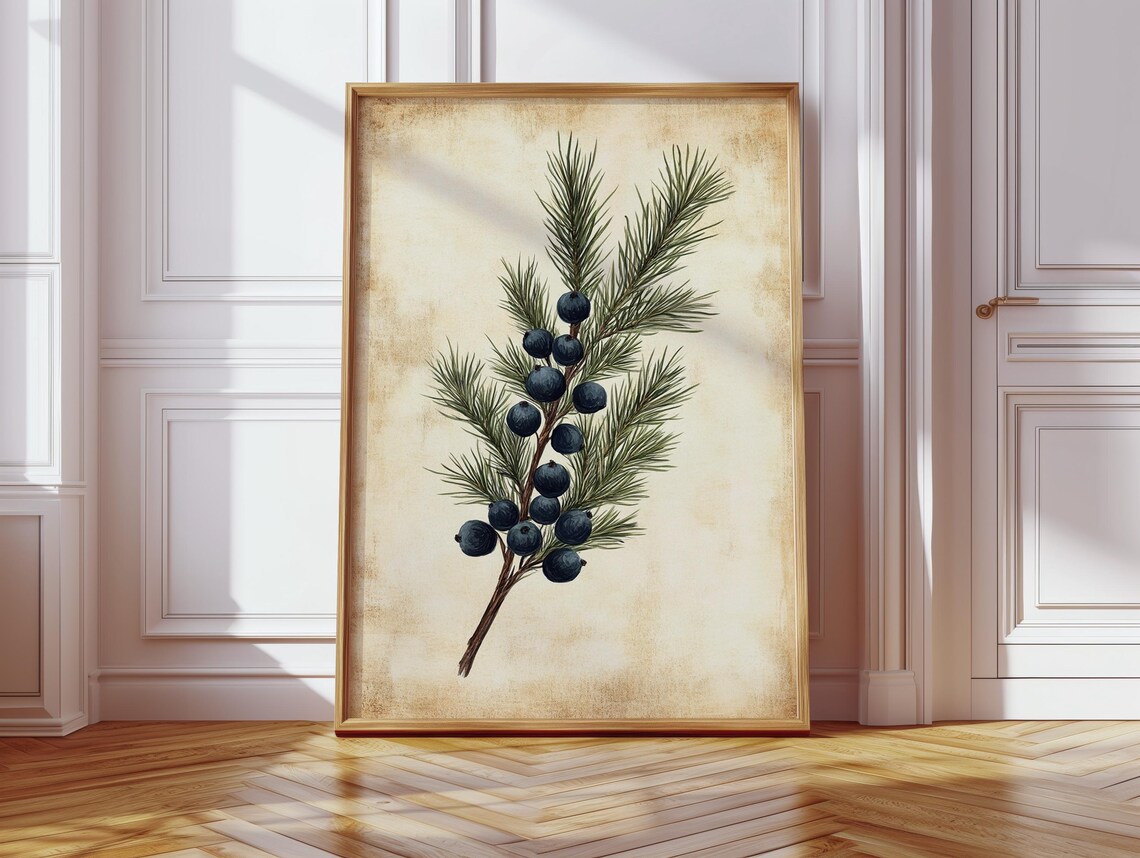 Juniper Botanical Art, Vintage Style Pine Branch Print