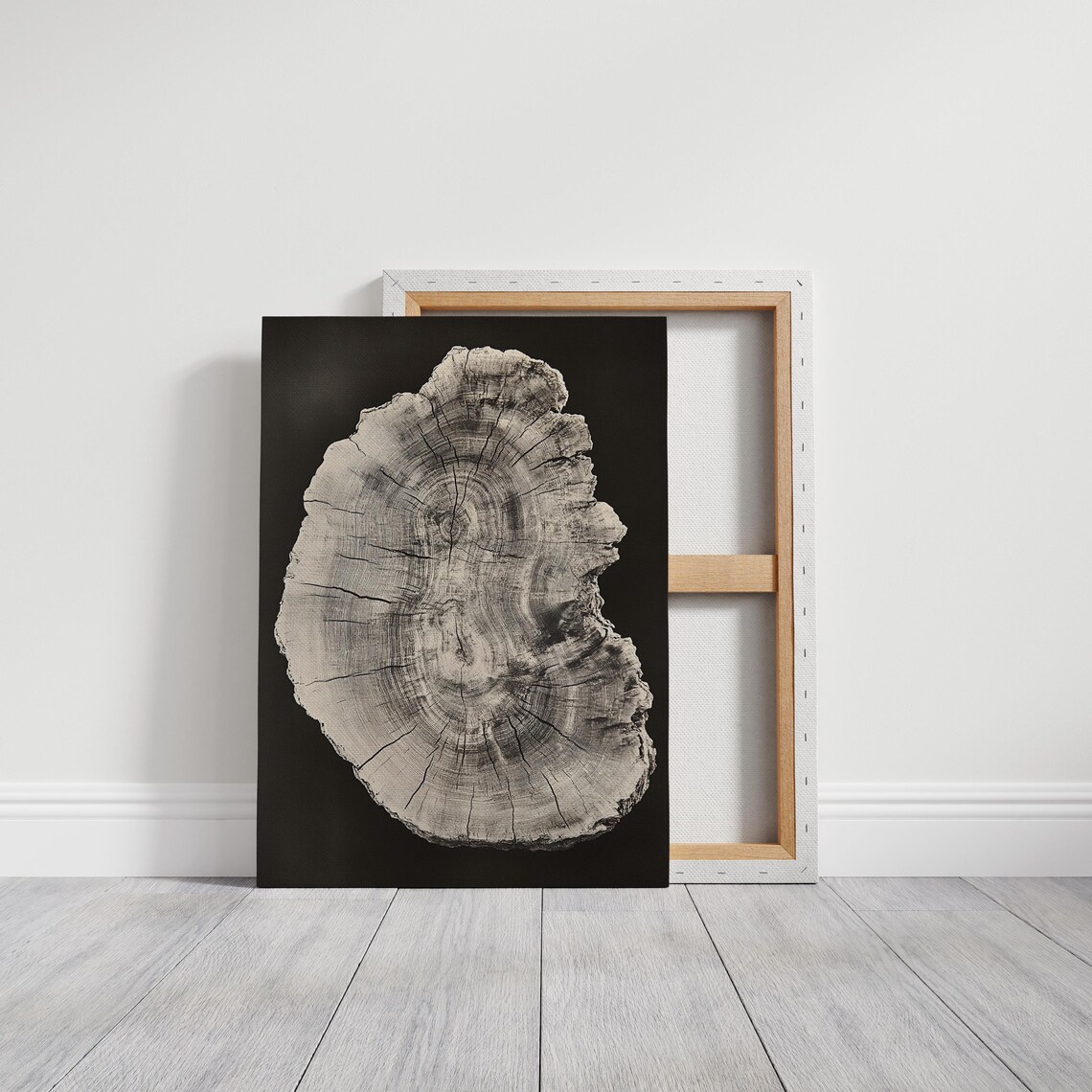 Vintage Tree Ring Art Print, Rustic Nature Decor