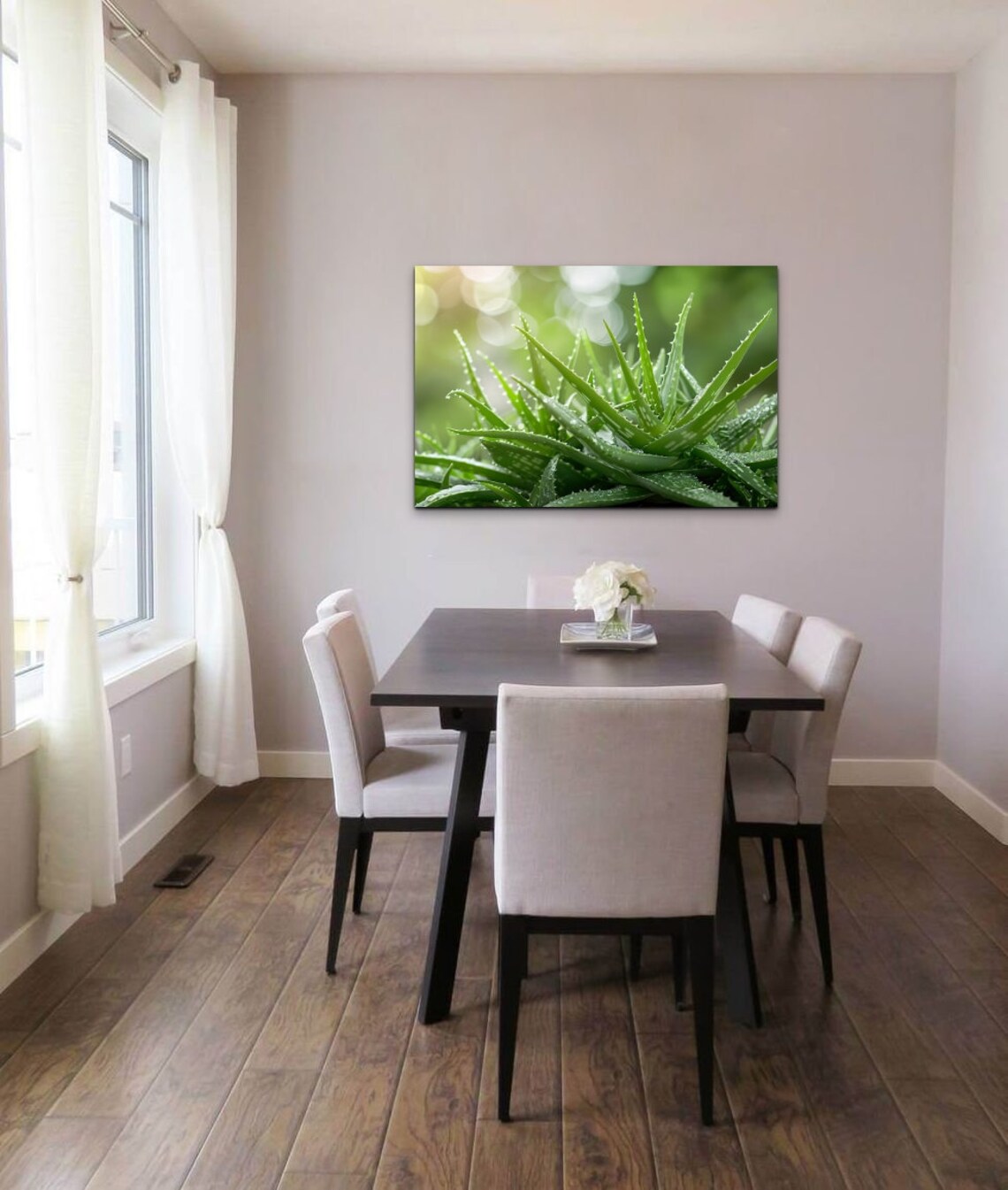 Aloe Vera Botanical Decor, Garden Room Art Print - Image 6