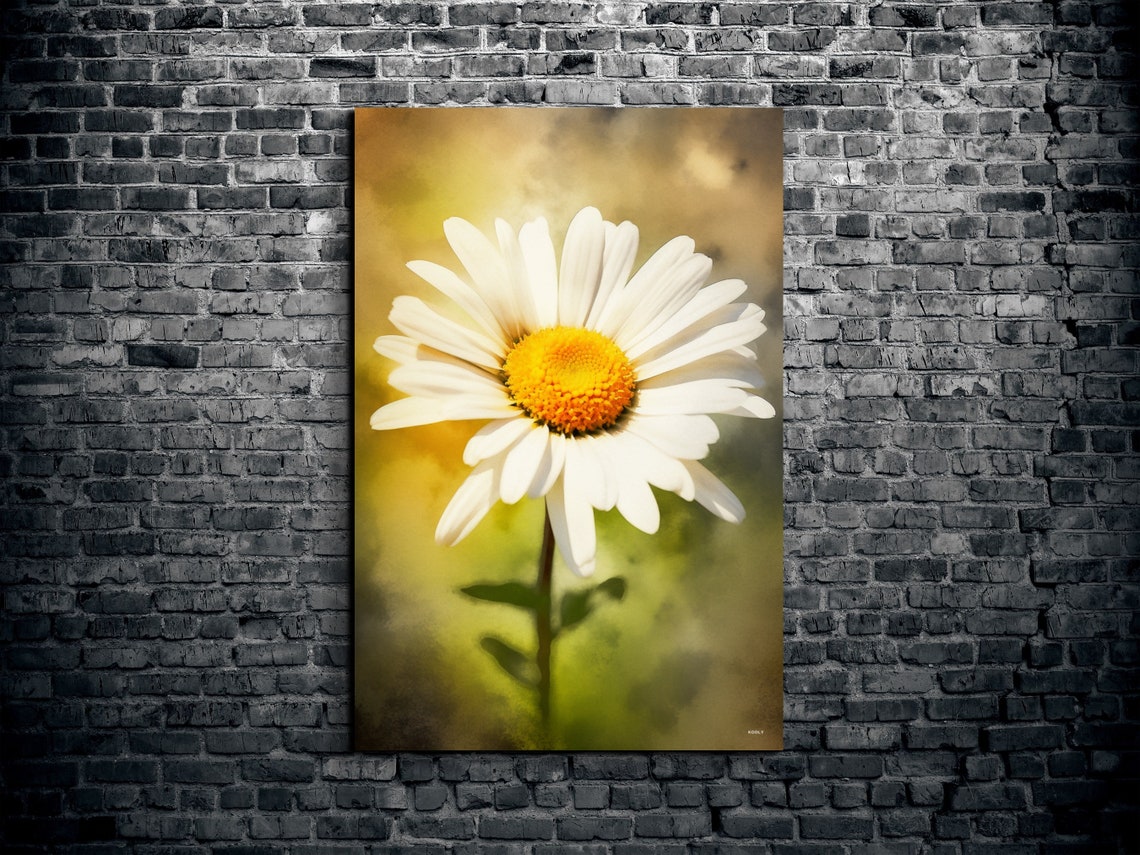 White Daisy Flower Macro Botanical Soft Golden Light Art Poster
