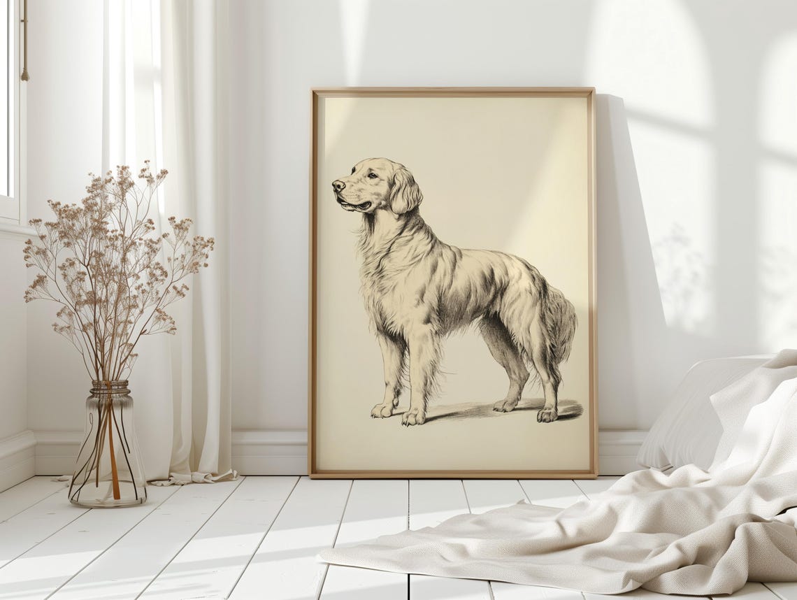 Golden Retriever Profile Vintage Ink Drawing Dog Artwork Poster