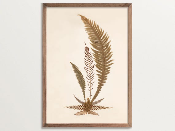 Fern Art Print No 04, Vintage Botanical Poster