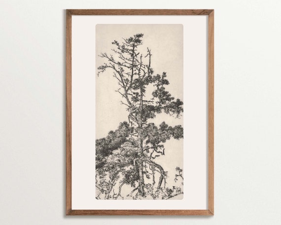 Vintage Tree Sketch Art Print Cottagecore Decor Tree Etching Wall Art