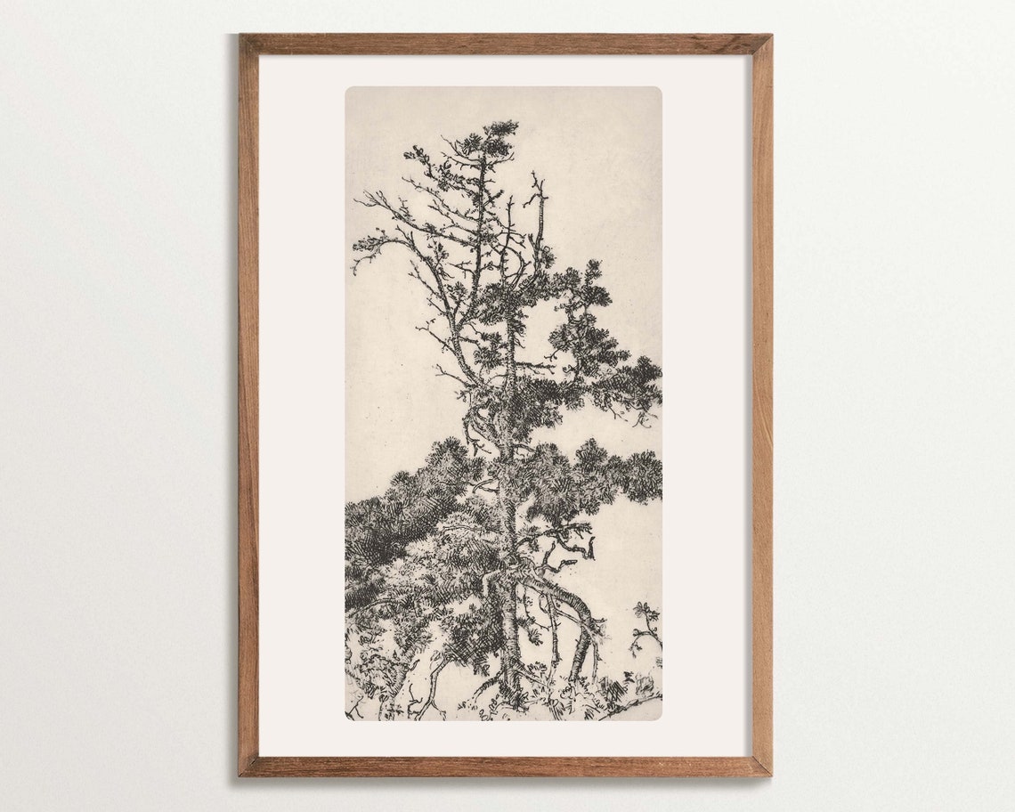Vintage Tree Sketch Art Print Cottagecore Decor Tree Etching Wall Art