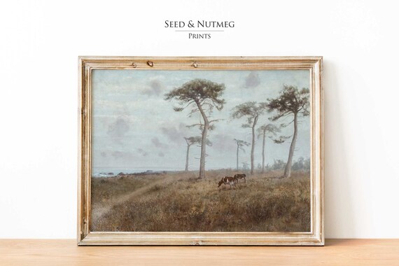 Coastal Pine Trees Grazing Cows Vintage Meadow Landscape Poster