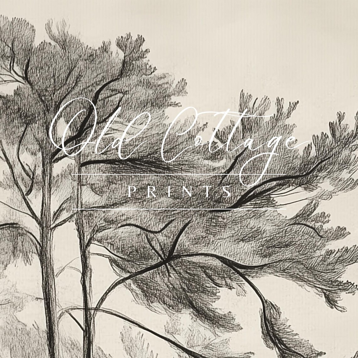 Silent Forest Minimalist Tree Sketch, Rustic Art - Image 2