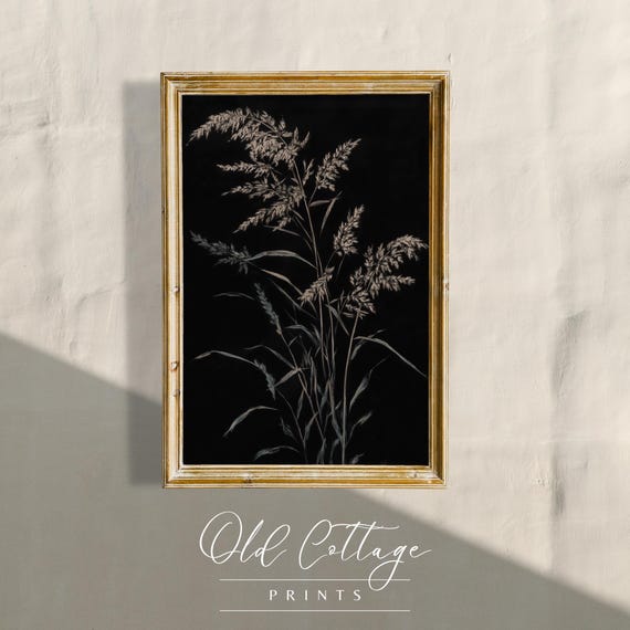 Wheat Grass Sketch Nature Inspired Minimalist Wall Art Feathered Plant Stems Neutral Decor Delicate Grass