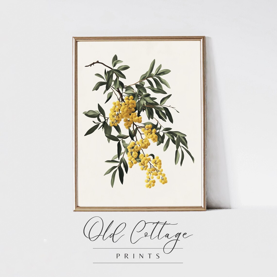 Bright Yellow Spring Blossom Branch Vintage Botanical Flower Poster