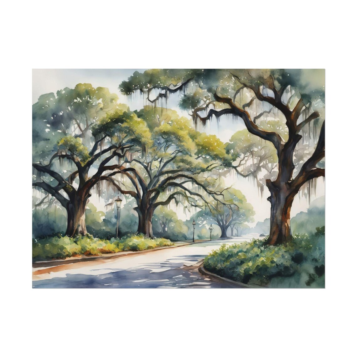 Charleston Live Oaks Spanish Moss Shaded Street Watercolor Poster