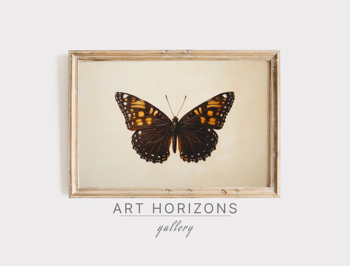 Dark Brown Butterfly Gold Markings Antique Entomology Sketch Poster