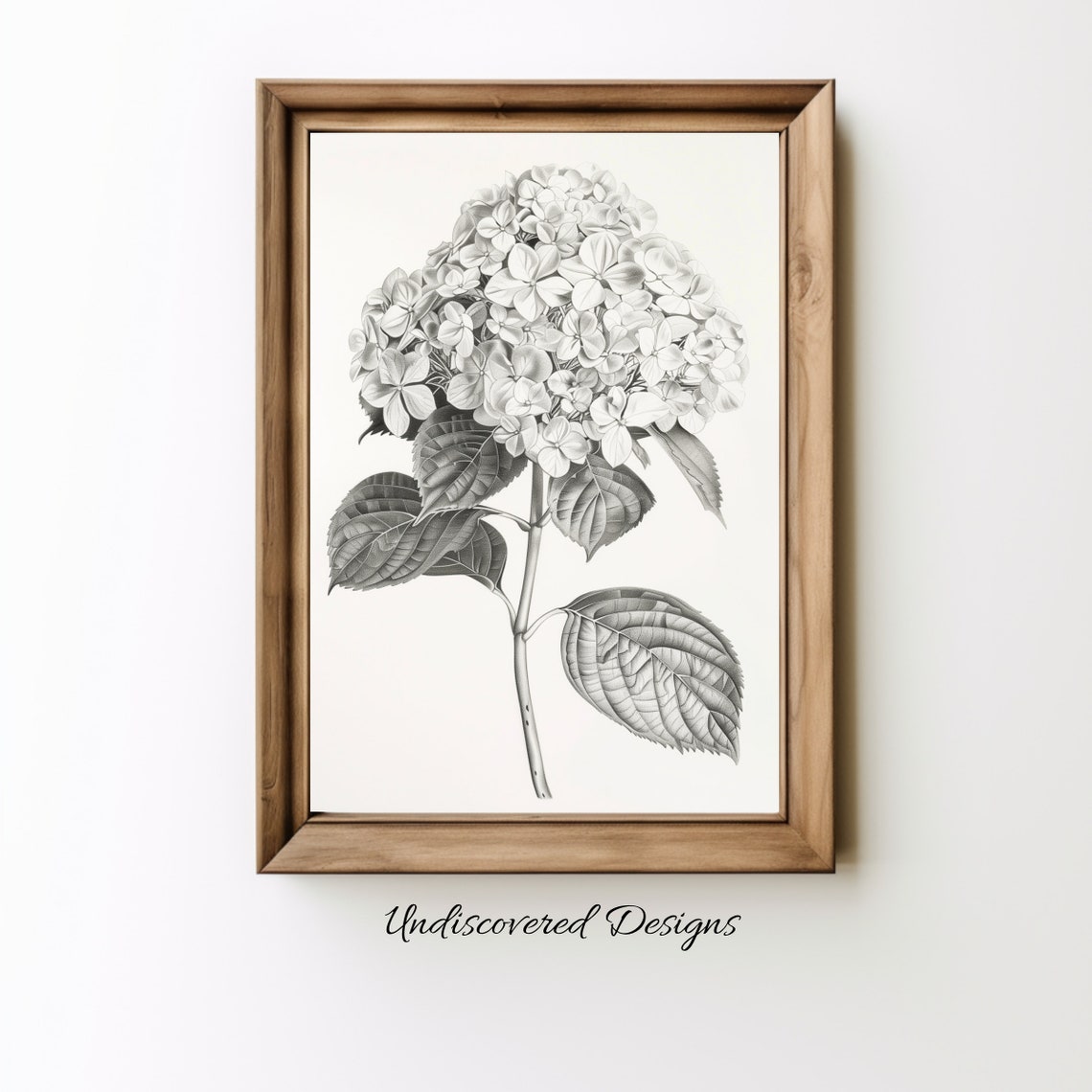 Vintage Hydrangea Bloom Detailed Pencil Sketch Botanical Art Poster