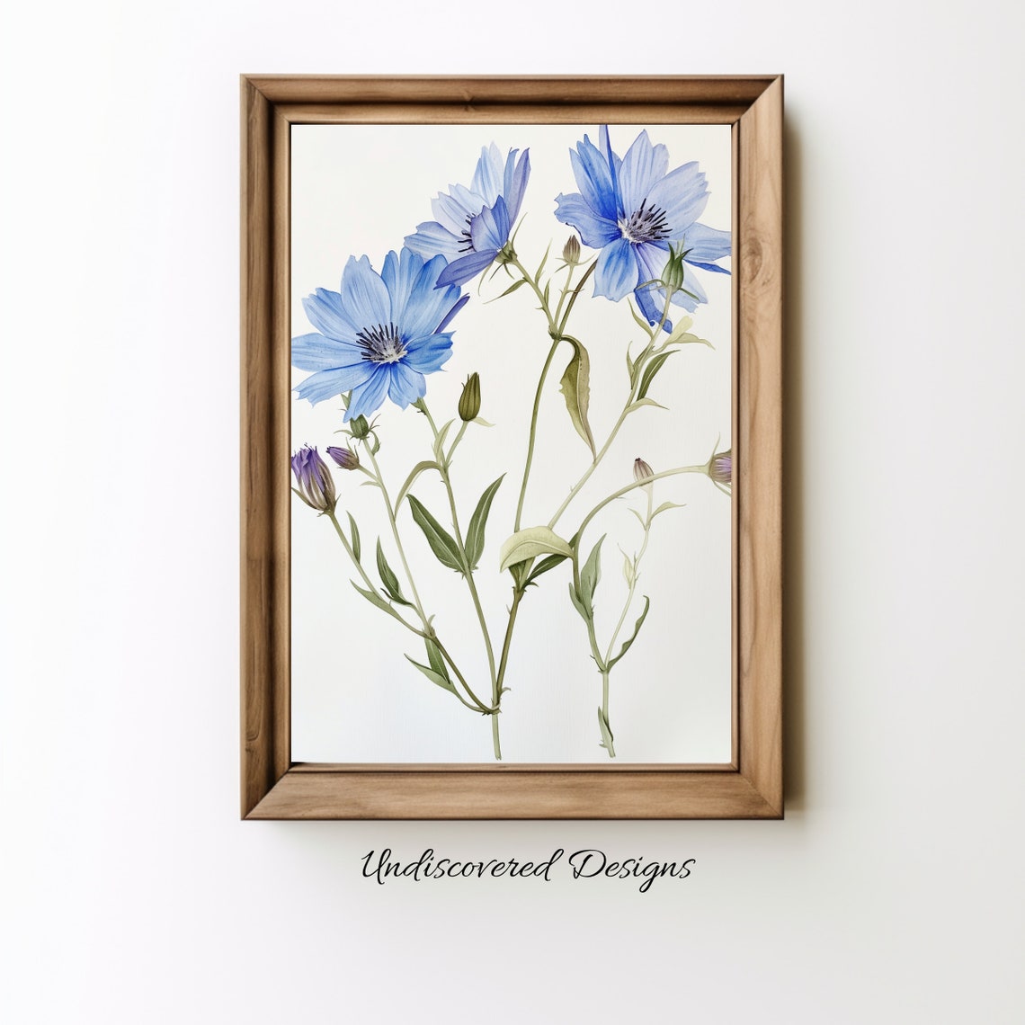 Vintage Chicory Botanical Art Print Nature Home Decor