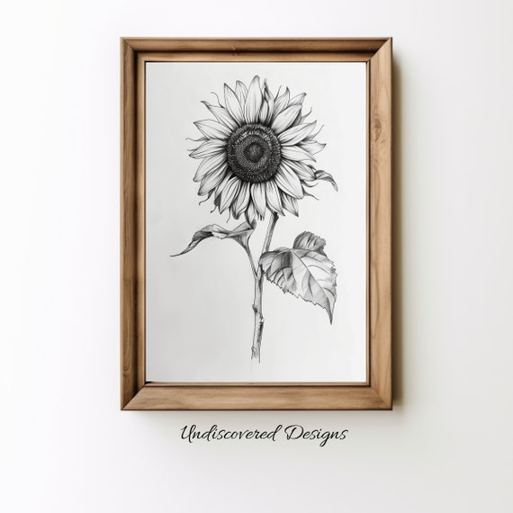 Sunflower Botanical Sketch Art Printout Wall Prints Print Vintage Pencil Drawing